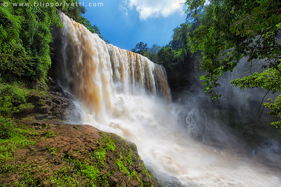 The Power of Nature