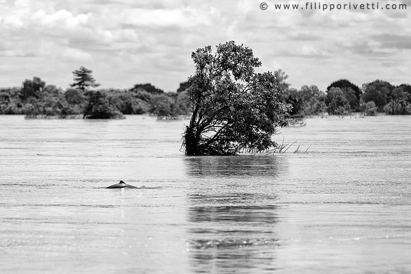 Irrawaddy
