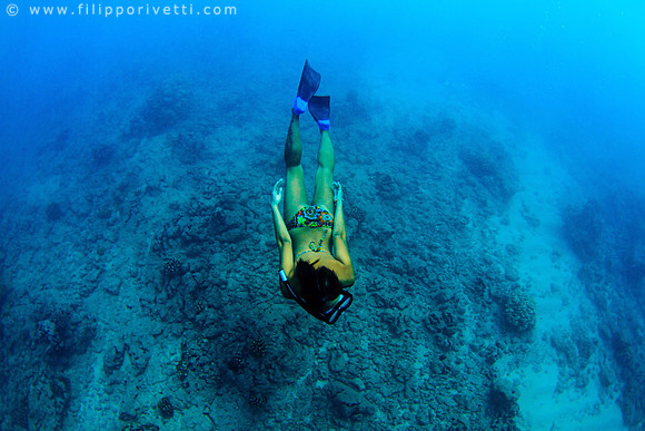 Mermaid