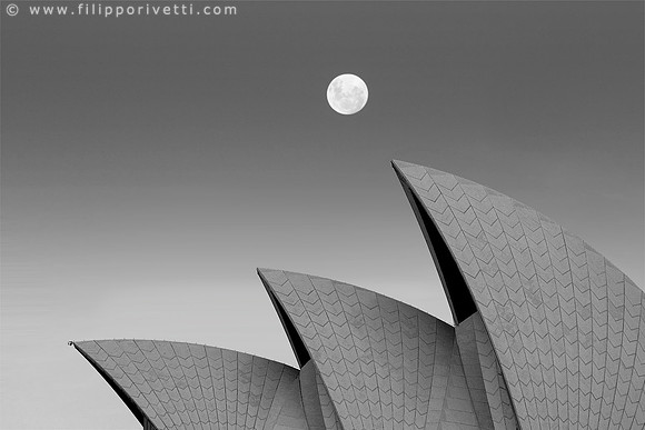Moon Sails