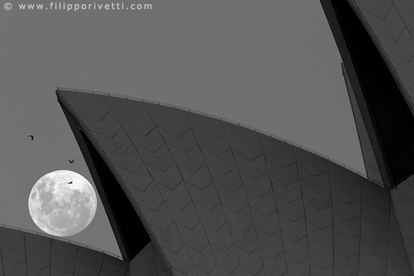 Moon Sails