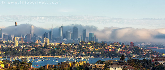 Foggy Skyline