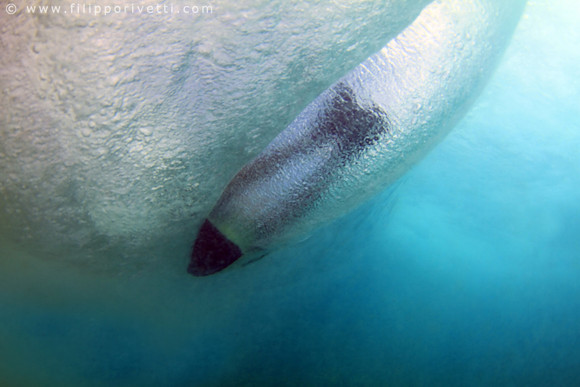 Bubble